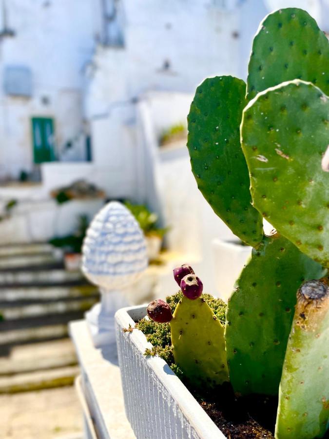 Belle Home Ostuni Vasca Vista Mare Экстерьер фото